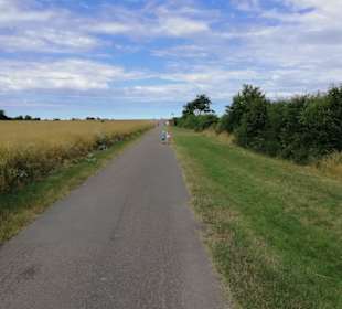 Wandern Fehmarn
