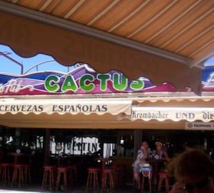 Die Cactus Bar