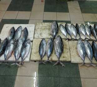 Unterwegs im einheimischen Markt 