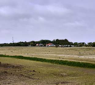 Bootstour nach Neuwerk