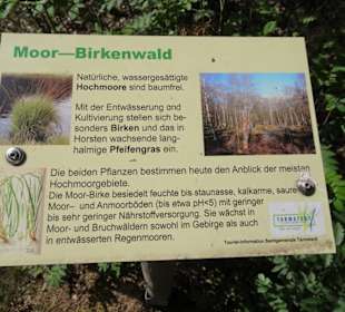 Infotafel am Moorpfad von Tarmstedt