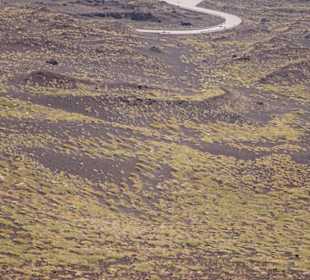 Je tiefer umso mehr Wachstum