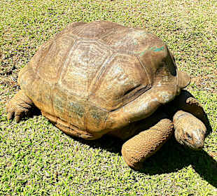 La Vallée des Couleurs NP