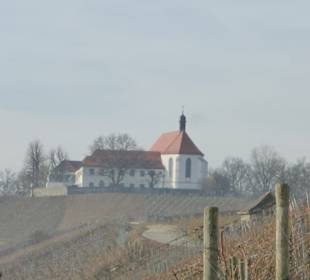 Blick zur Vogelsburg und Kirche Maria Schutz