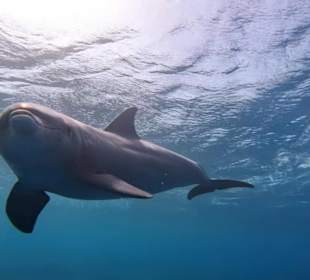 So wunderschön entspannt!