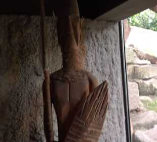 Tierpark Hellabrunn - Welt der Affen