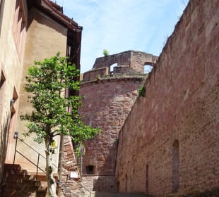 Bergbahn - Eindrücke rund ums Schloss