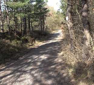 Hirschauer Spitzbergwegle (Premiumspazierwanderweg
