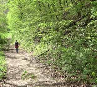 Wandertour durchs Reissenbachtal Oberhausen