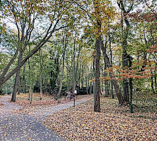 Stadtrundgang Kolobrzeg/Kolberg