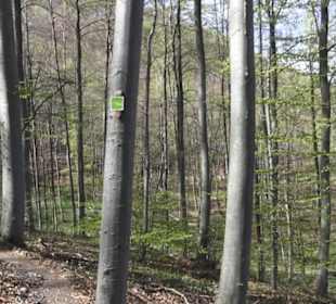 Wanderweg Hochgehkämpft