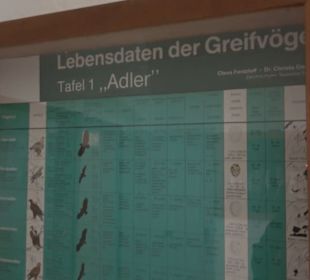 Museum Rosenburg