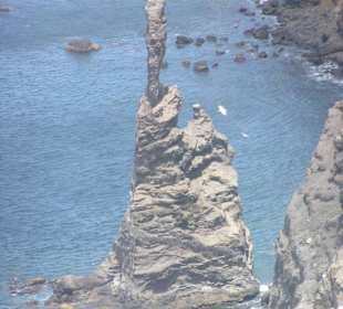 Finger Gottes Gran Canaria