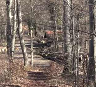 Wandertour Eppenzill