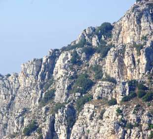 Volos  Pelion Gebirgslandschaft