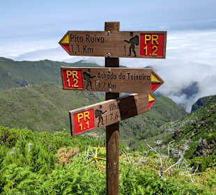 Wandern Funchal