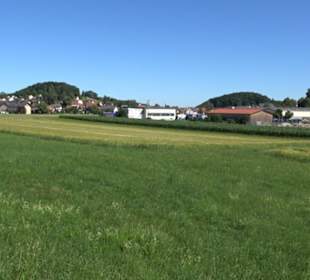 Waldameisen-LehrPfad