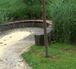 Forellenbächle Glacis Park