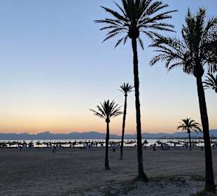Strand Playa/Platja de Palma