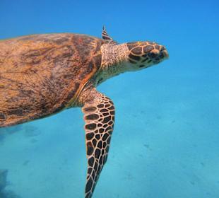 Haben wir auf unserer Tour auch gesehen