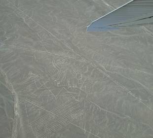 Nazca Linien aus der Luft