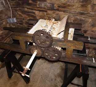 Rundgang durch die Ausstellung des Landmuseums