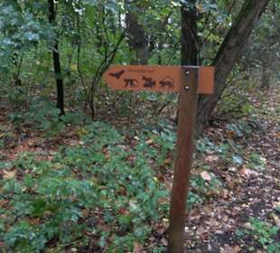 Tierpark 