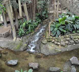 Jungle Cabana