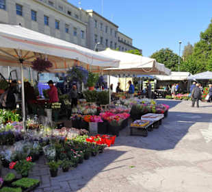 Eindrücke vom Wochenmarkt Nuoro