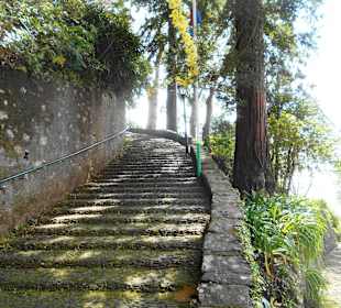 Weg zur Wallfahrtskirche Nossa Senhora do Monte
