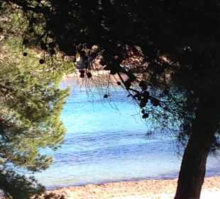 Lick vom Hotel zur Bucht