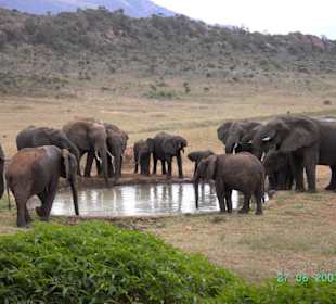 Ngulia Safari Lodge, Wasserquelle