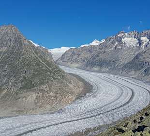 Gletscherweg Aletschgletscher
