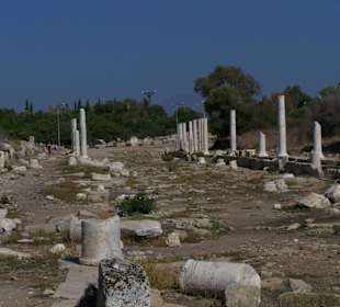 Prachtstrasse Bild 2