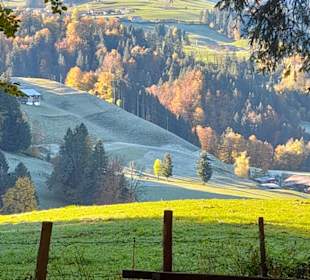 Wandern Oberstaufen