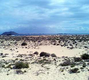 Parque Natural de las Dunas de Corralejo
