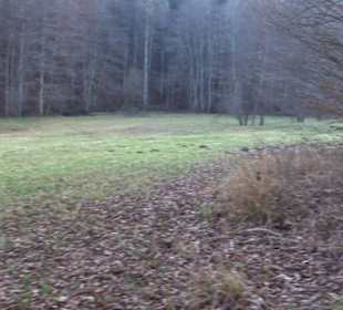 Schönbuch Schaichtal