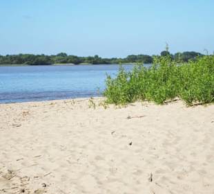 Eindrücke vom Strand am Rissener Ufer