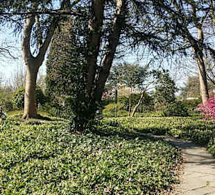 Frühling im Westfalenpark Dortmund