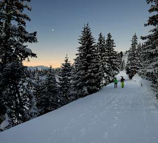 Skigebiet Disentis 3000