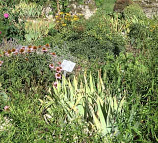 Klosterkirche Maria Gnadenzell