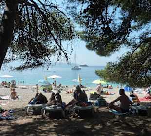 Zlatny rat - Goldenes Horn