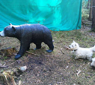 Neues im Kletterwald 09-2012