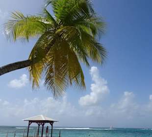 Guadeloupe Anse a Saint
