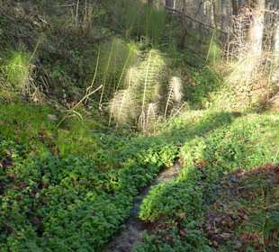 Rundwanderung Valley