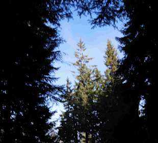 Riesengebirge/Karkonosze