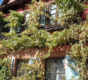 Altstadt Wissembourg