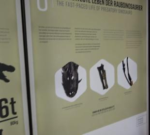 Dinosaurier Museum Altmühltal