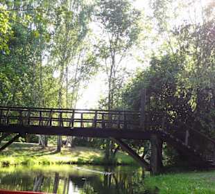 Spreewald von Lübben und Umgebung
