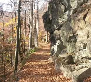 Wandern Bodenmais